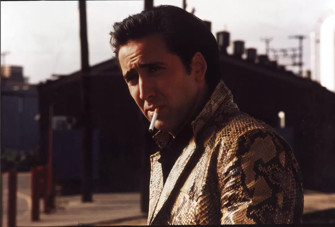 Wild at Heart-Image